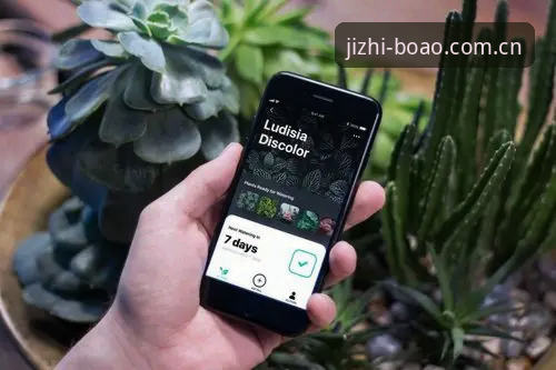 新手必看：博澳APP下载评测实战分享，从注册到登录的完整使用心得